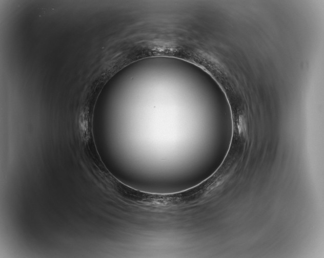 X0000088891396200706081239