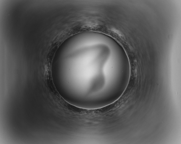 X0000088891397200706081239