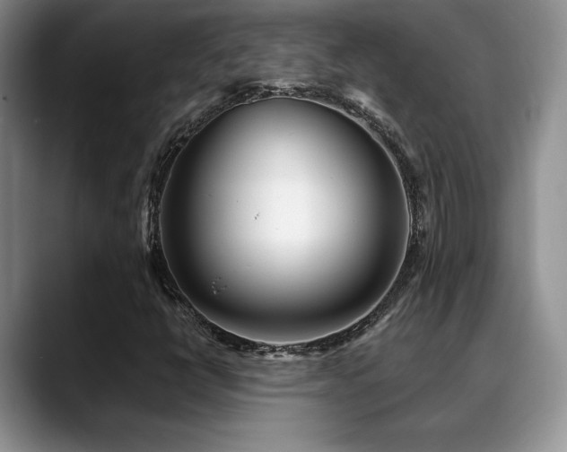 X0000088891398200706081239