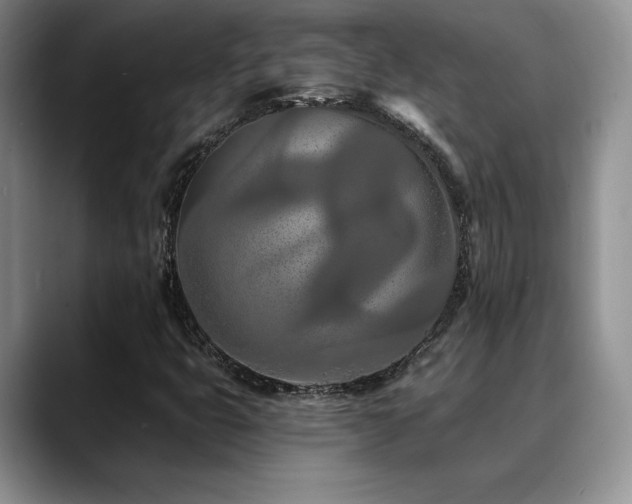 X0000088891399200706081239
