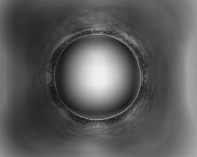 X0000088891400200706081239
