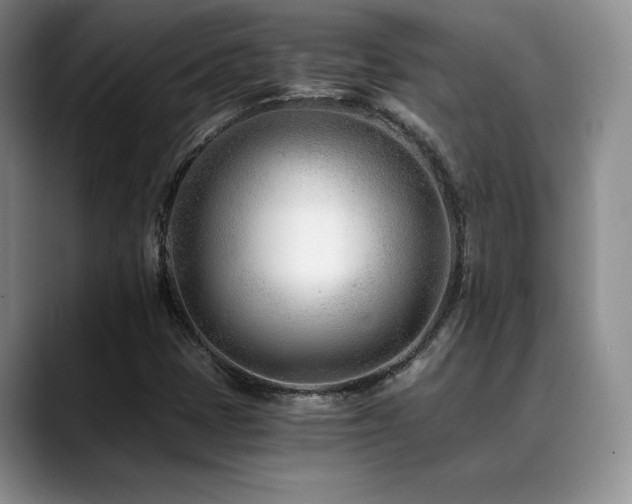 X0000088891401200706081239