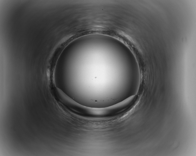 X0000088891402200706081239