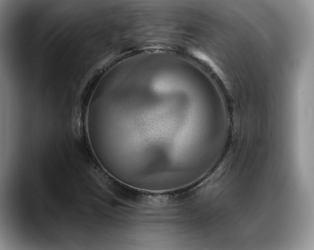 X0000088891403200706081239
