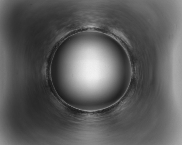 X0000088891404200706081239
