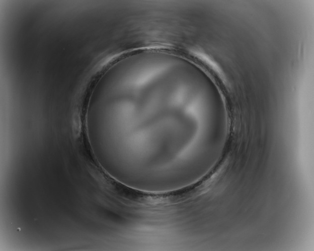 X0000088891407200706081240