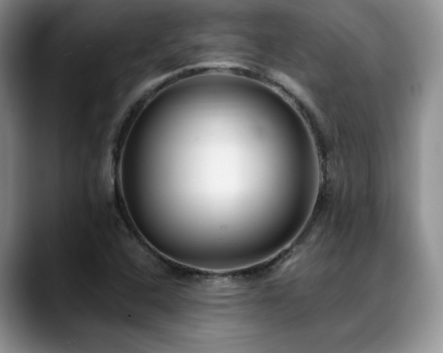 X0000088891408200706081240