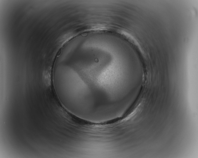 X0000088891409200706081240