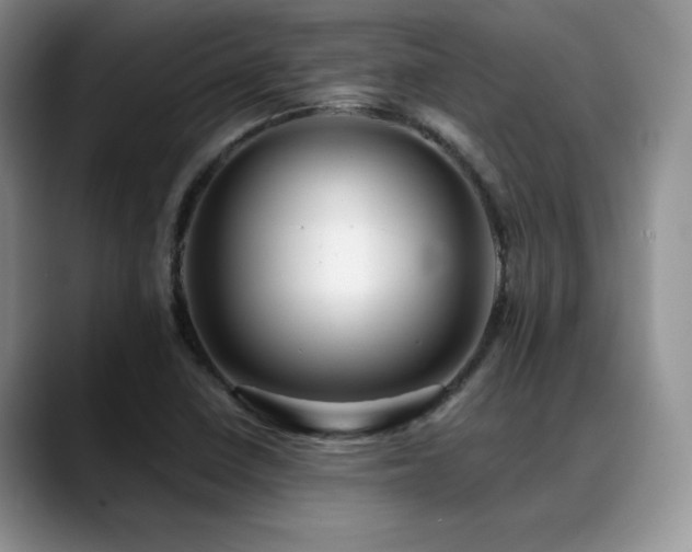 X0000088891410200706081240