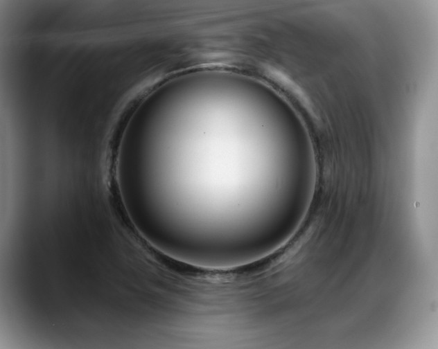 X0000088891411200706081240