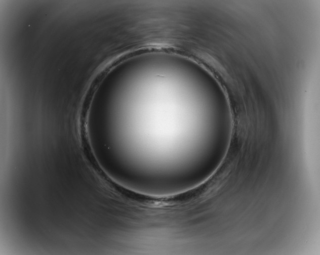 X0000088891412200706081240