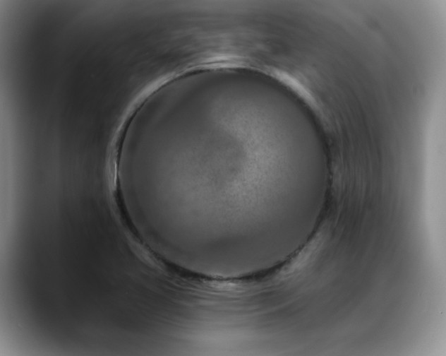 X0000088891413200706081240