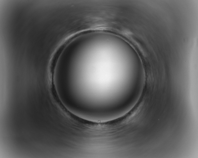X0000088891414200706081240