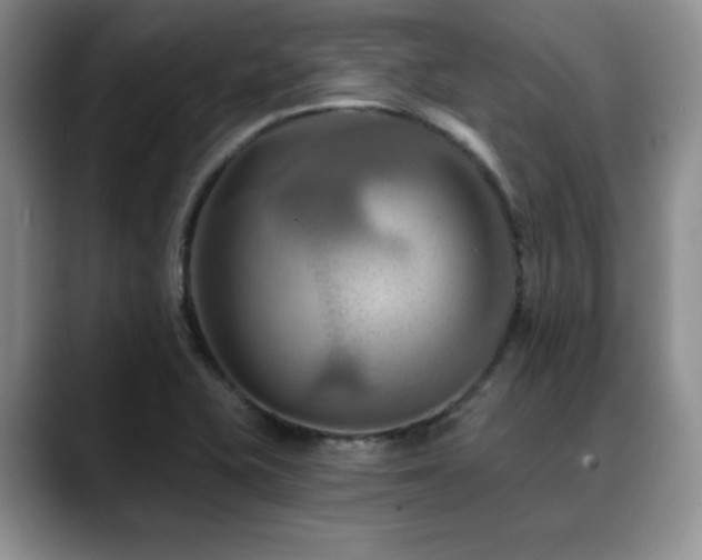 X0000088891415200706081240