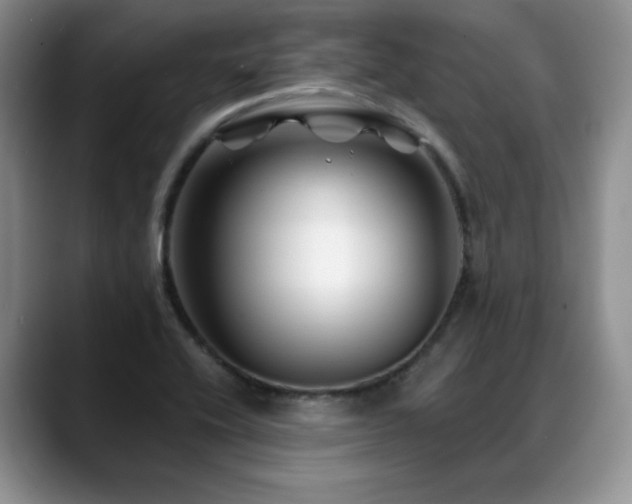 X0000088891416200706081240