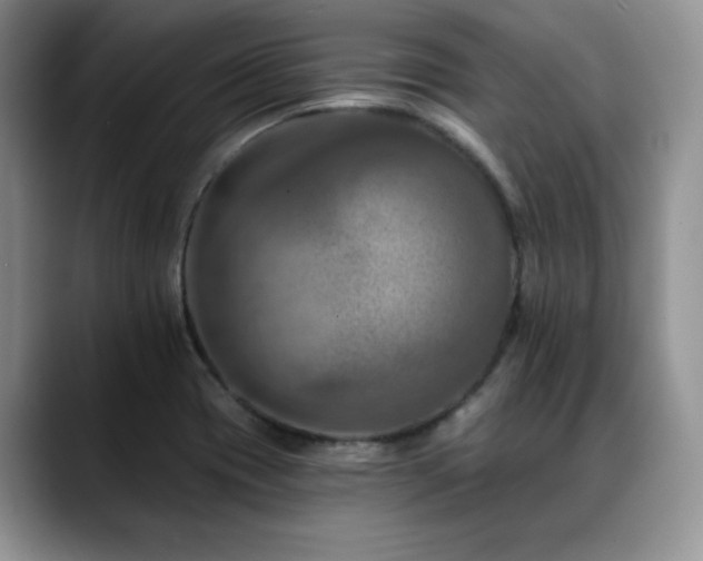X0000088891417200706081240