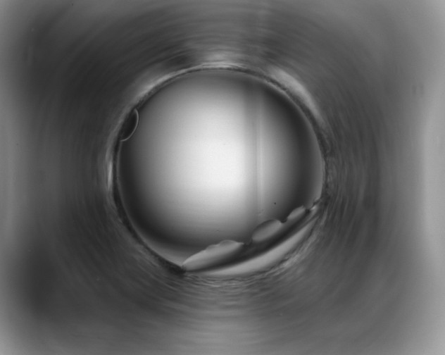 X0000088891419200706081240