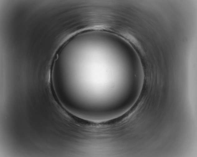 X0000088891420200706081240