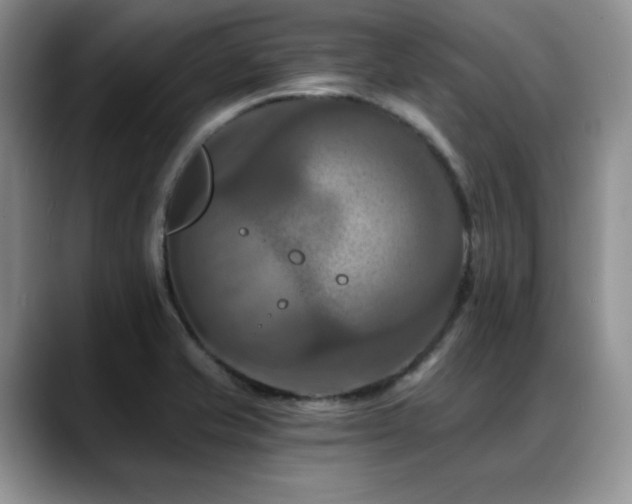 X0000088891421200706081240