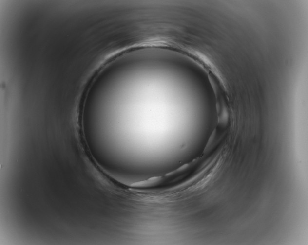 X0000088891422200706081240