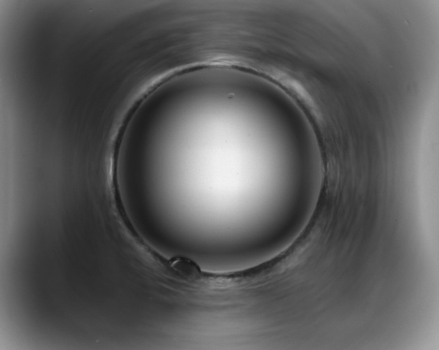 X0000088891424200706081240
