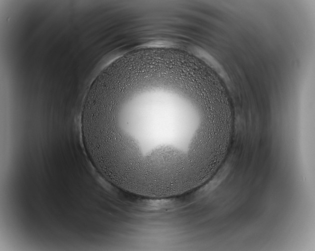 X0000088891425200706081240