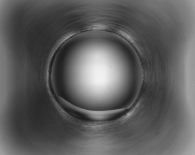 X0000088891426200706081240
