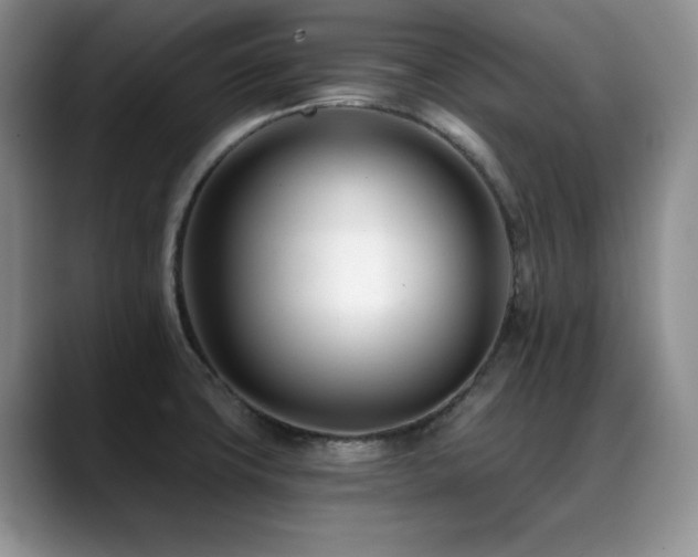 X0000088891427200706081240