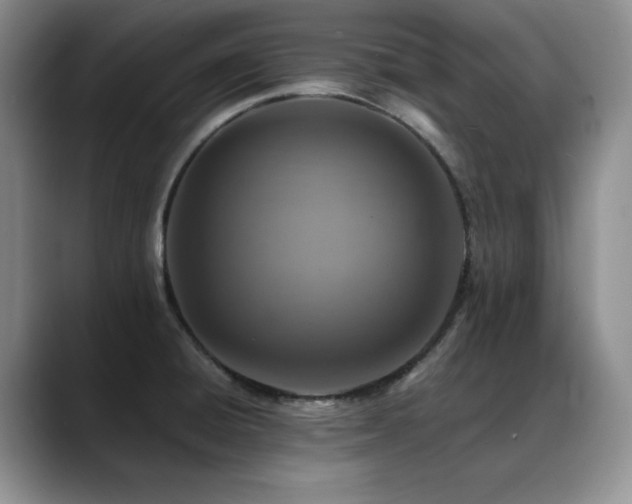 X0000088891428200706081240