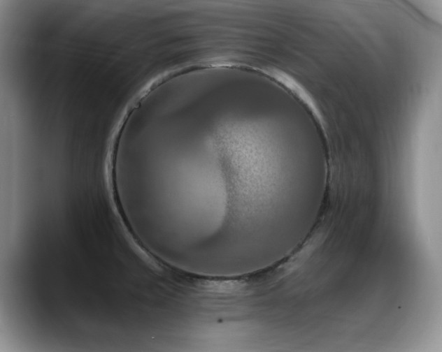 X0000088891429200706081240