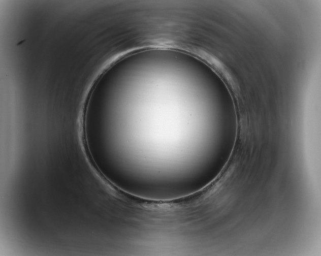 X0000088891432200706081240