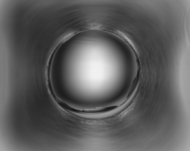 X0000088891434200706081240