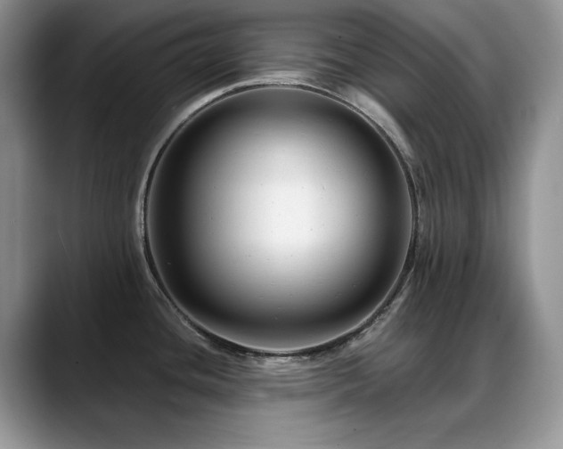 X0000088891436200706081240