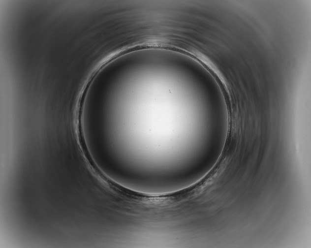 X0000088891437200706081240