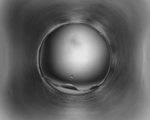 X0000088891439200706081240
