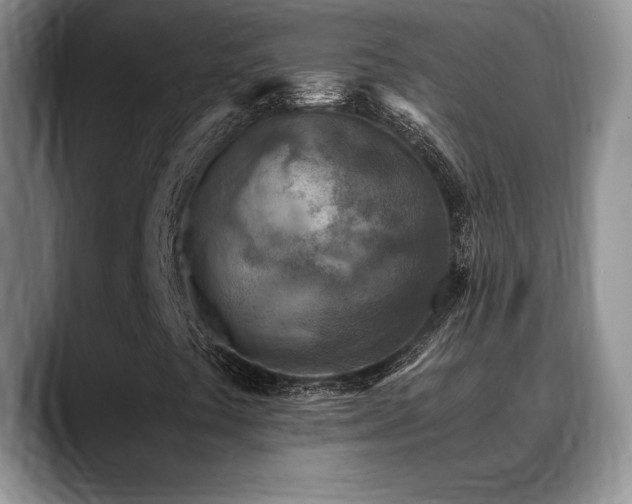 X0000088891441200706081239