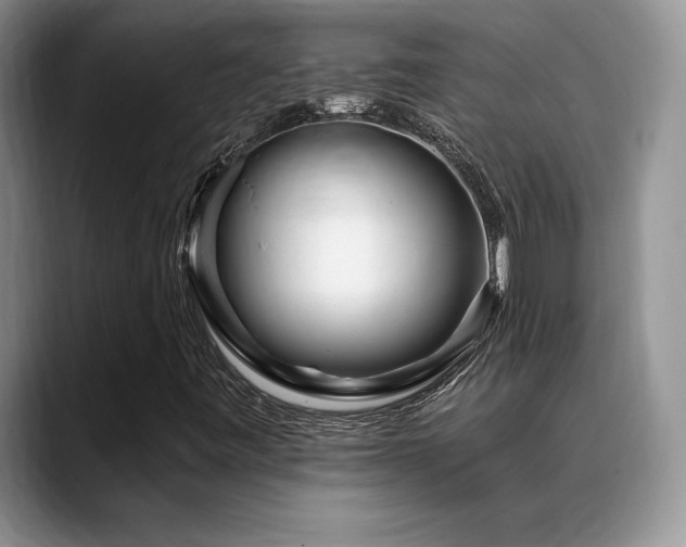 X0000088891443200706081239