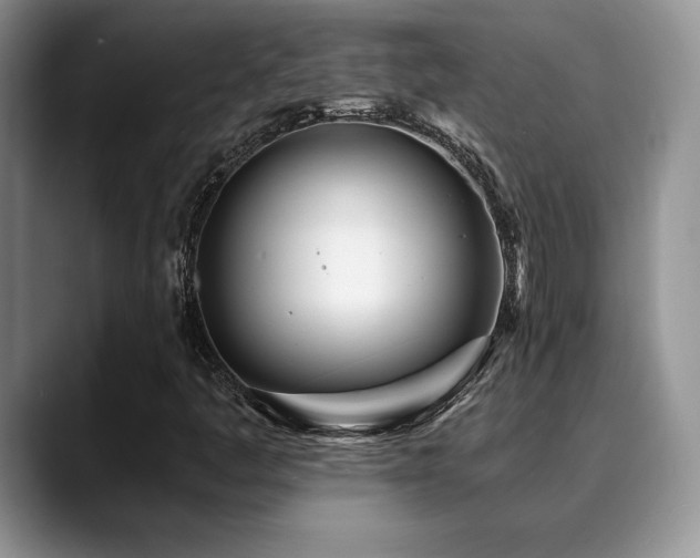 X0000088891445200706081239