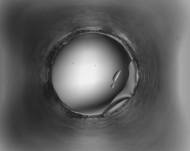 X0000088891448200706081239