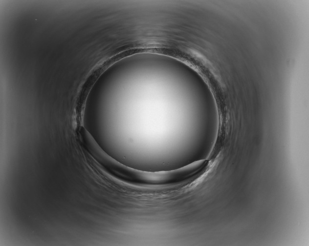 X0000088891449200706081239