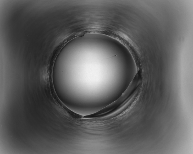 X0000088891450200706081239
