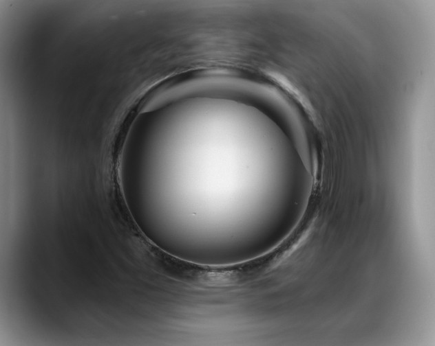 X0000088891453200706081239
