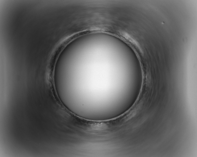 X0000088891454200706081239