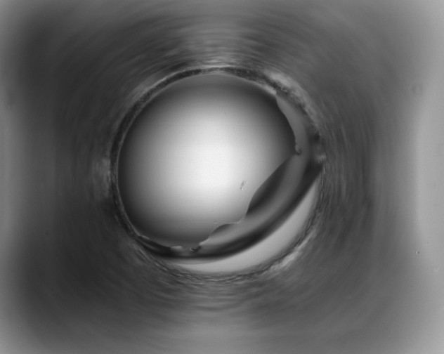 X0000088891457200706081239