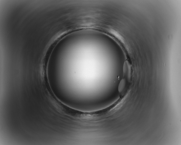 X0000088891458200706081239
