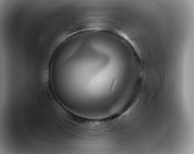 X0000088891459200706081239