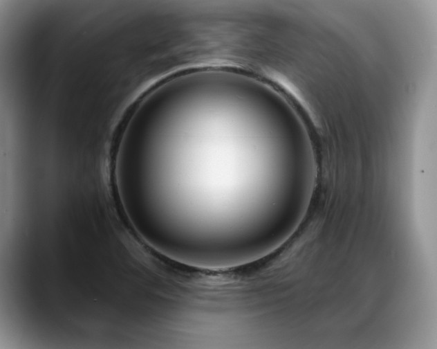 X0000088891460200706081239