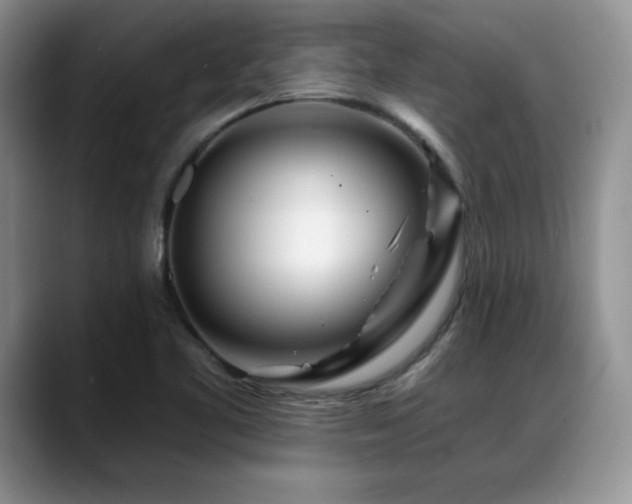 X0000088891461200706081239