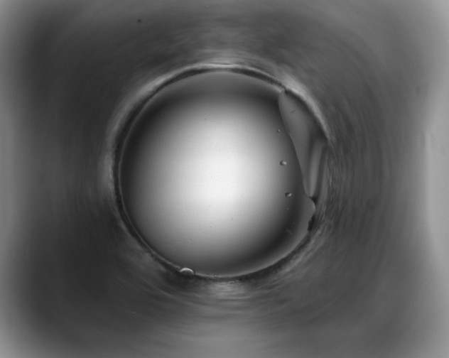X0000088891464200706081239