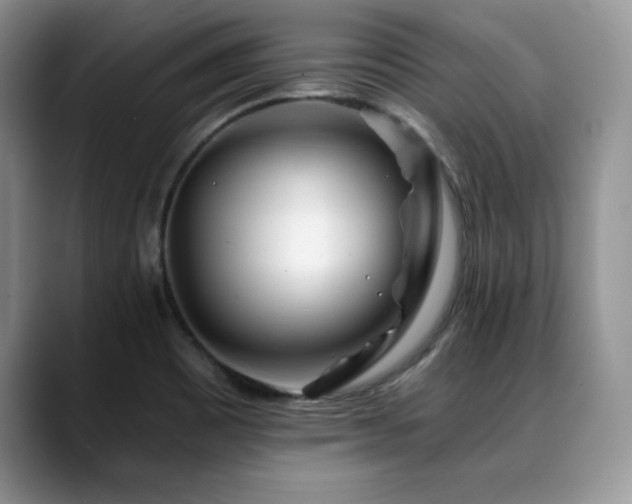 X0000088891465200706081239